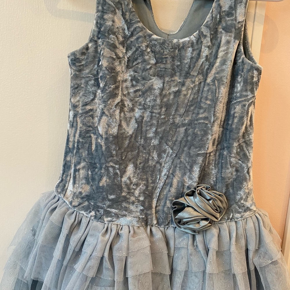 Toddler Girls Velvet and Tulle Dress